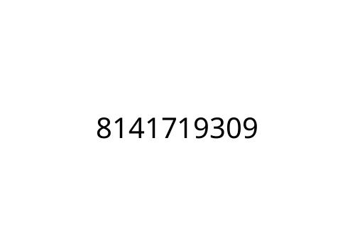 8141719309