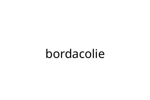 bordacolie