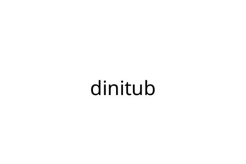 dinitub