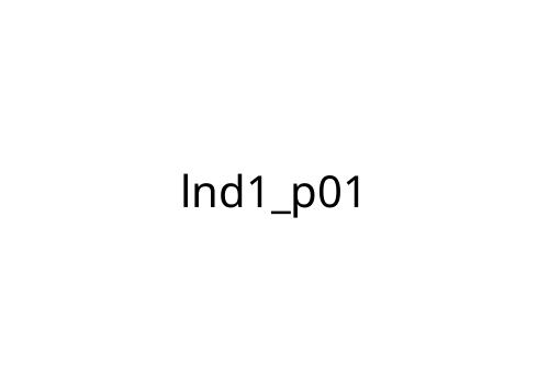 lnd1_p01