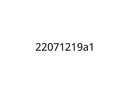 22071219a1