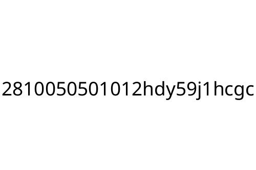 2810050501012hdy59j1hcgc