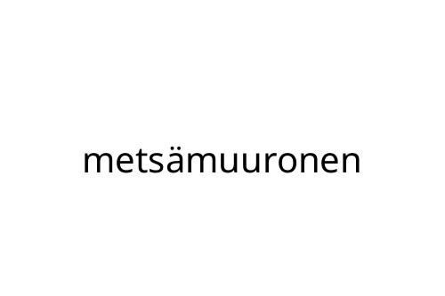 mets_muuronen