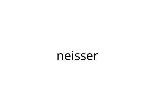 neisser