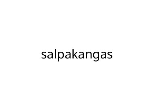 salpakangas