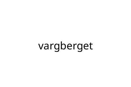 vargberget