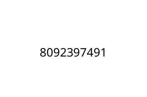 8092397491