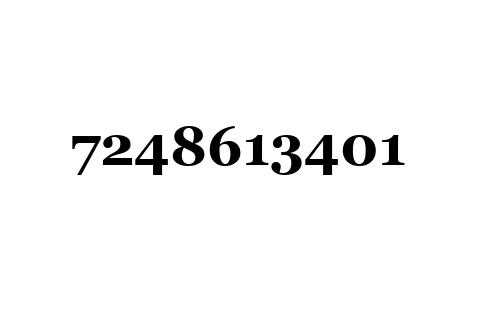 7248613401