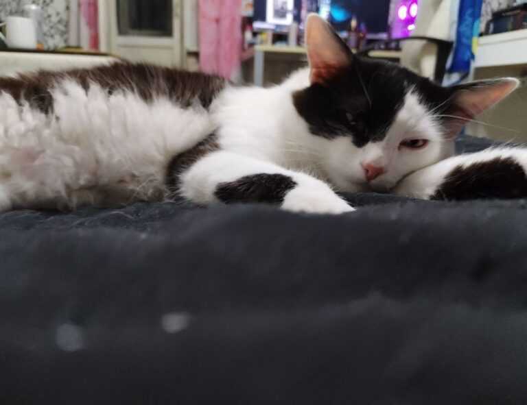 active learning advice fparentips