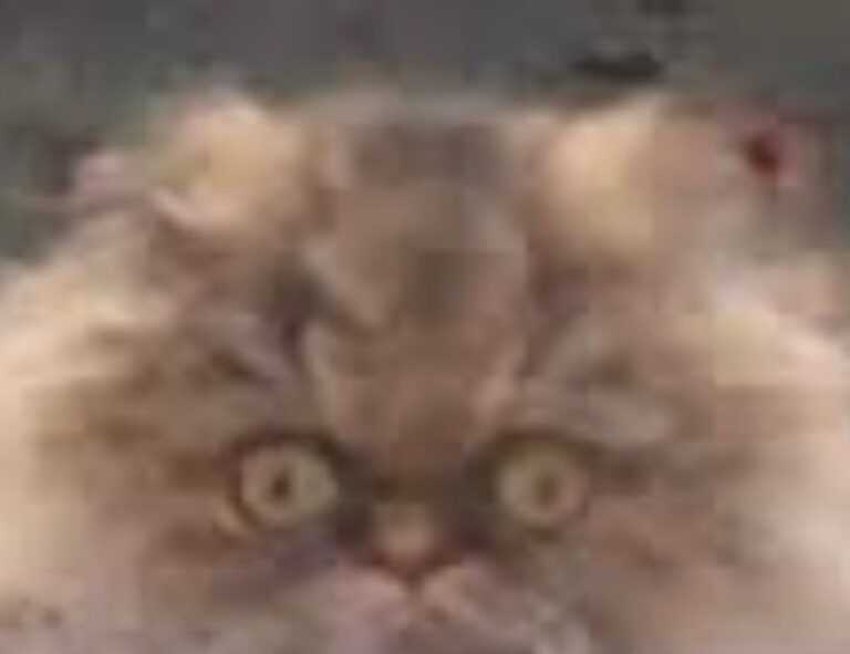 active learning guide fparentips