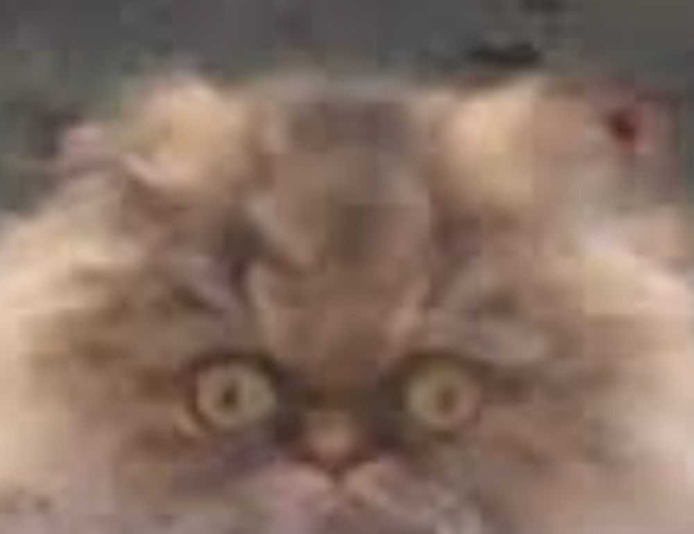 active learning guide fparentips