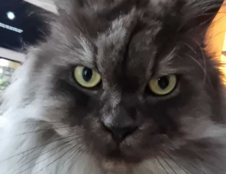 communivation tips fparentips