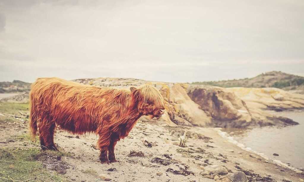 easy guide convwbfamily