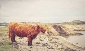 easy guide convwbfamily