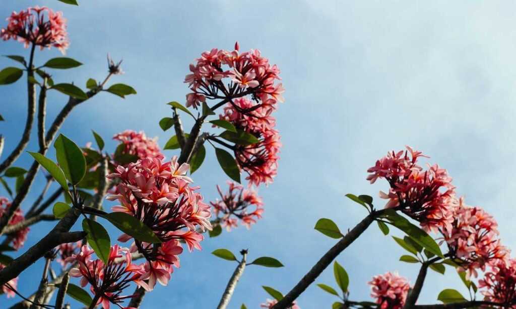 family education nitkaedu