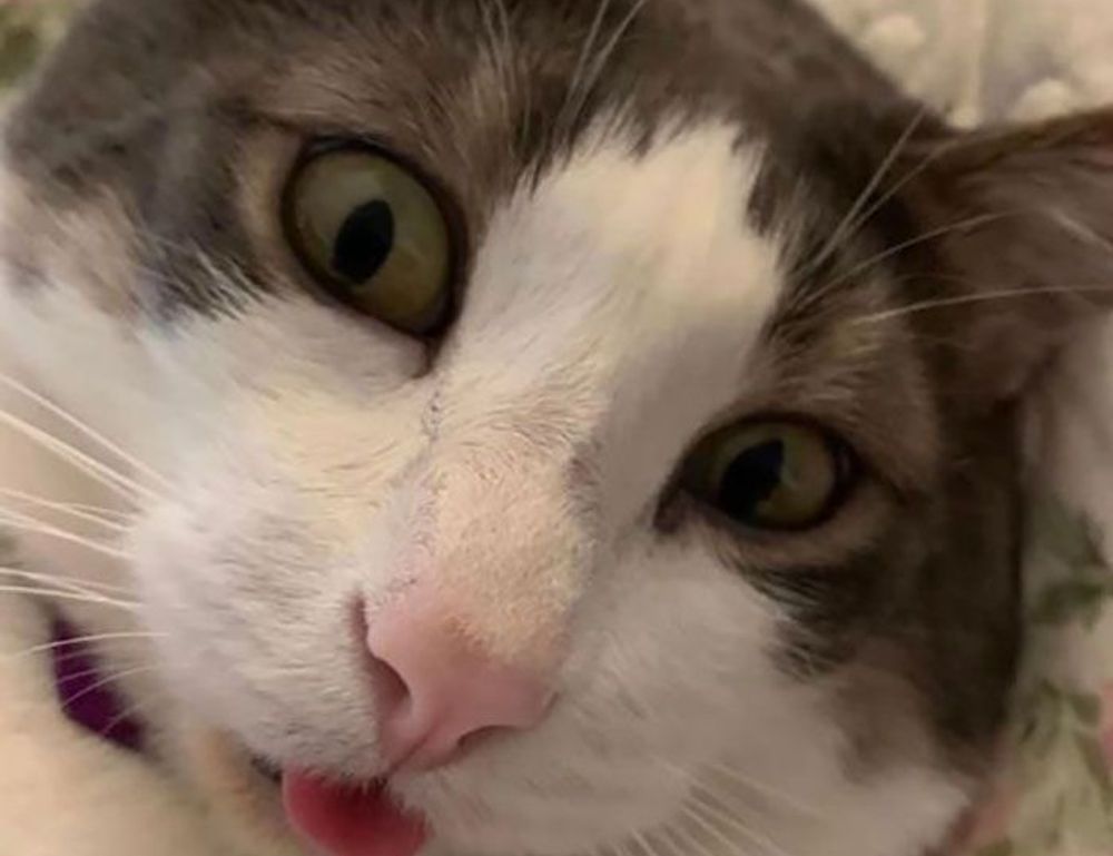 fitness tips llblogfamily