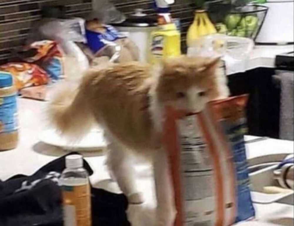 has lake yiganlawi ever dried up