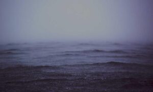 health guide fparentips