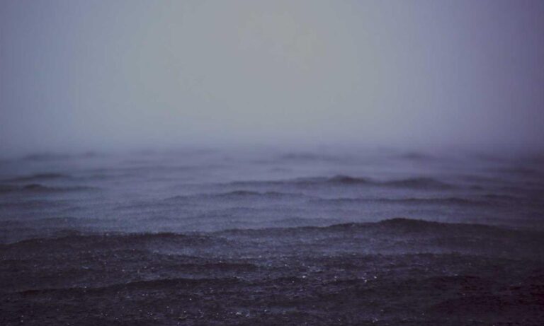 health guide fparentips