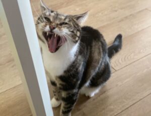 how to keep fit from llblogfamily