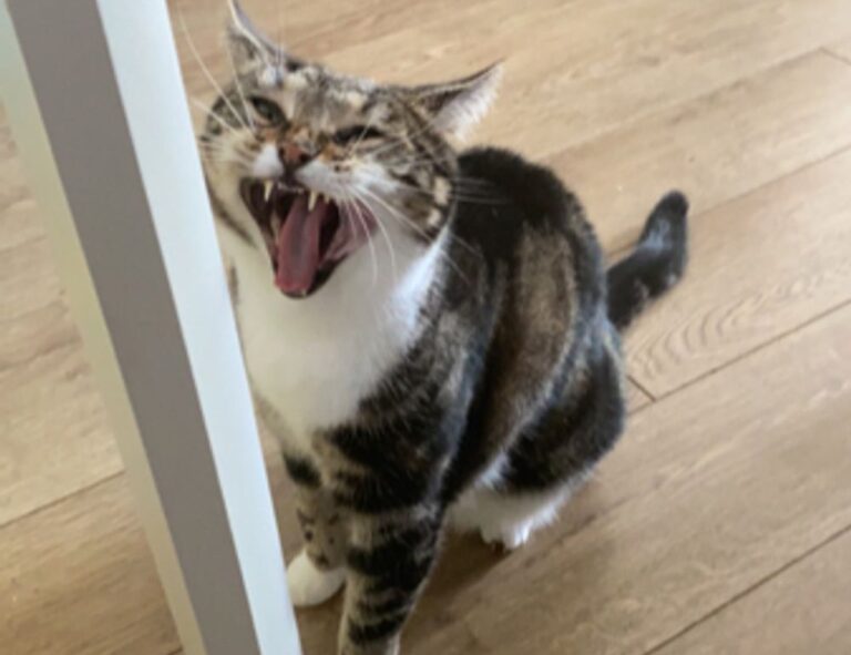 how to keep fit from llblogfamily