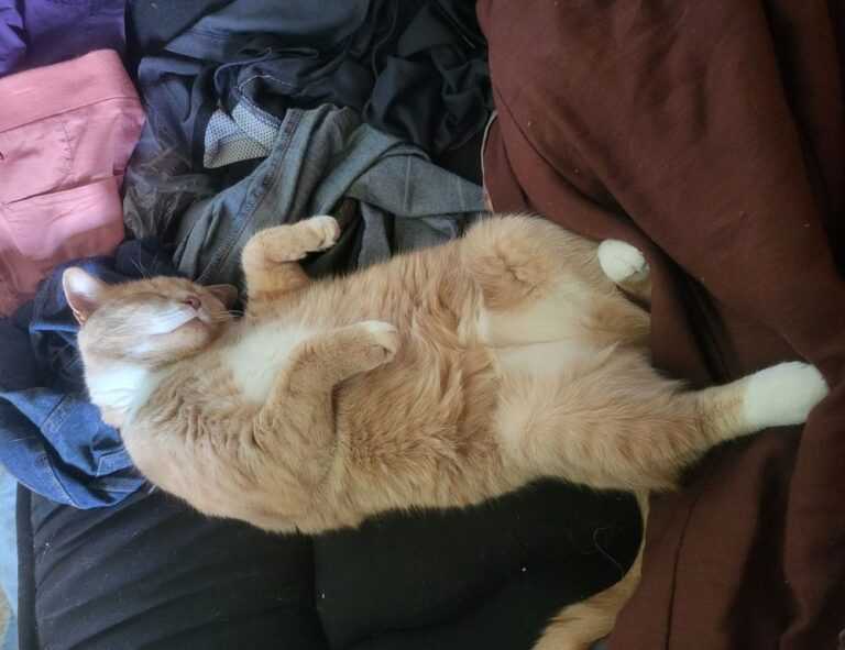 kids toys with prokaihaz