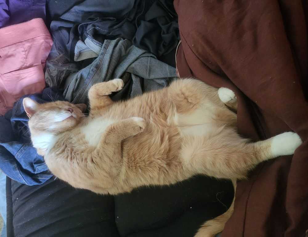 kids toys with prokaihaz