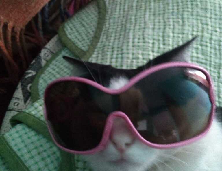 new gardening product xhasrloranit