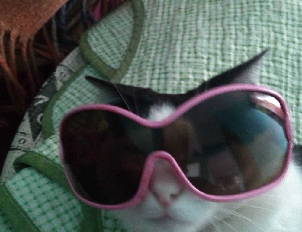 new gardening product xhasrloranit