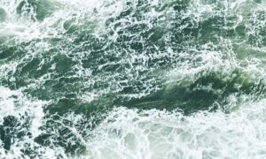 nutritional advice for couples llblogfamily