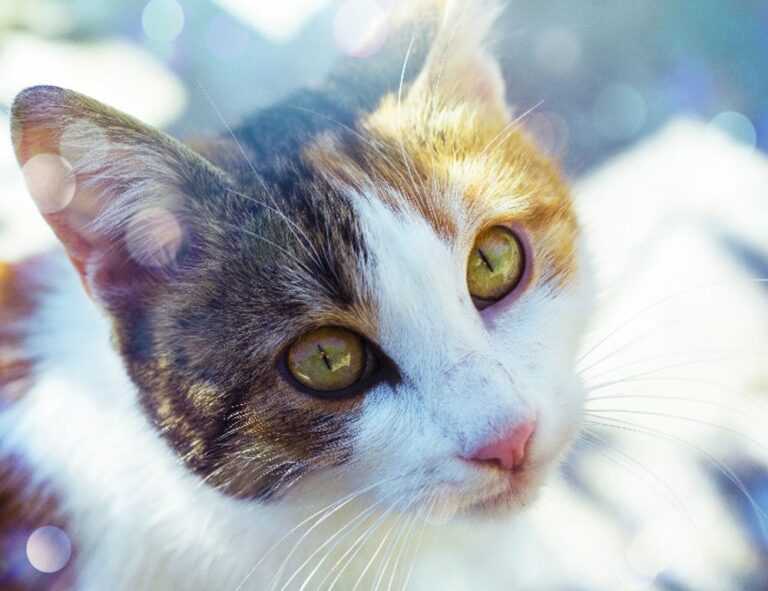 parenting done easily convwbfamily