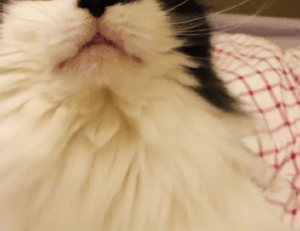 relations tips fpmomhacks