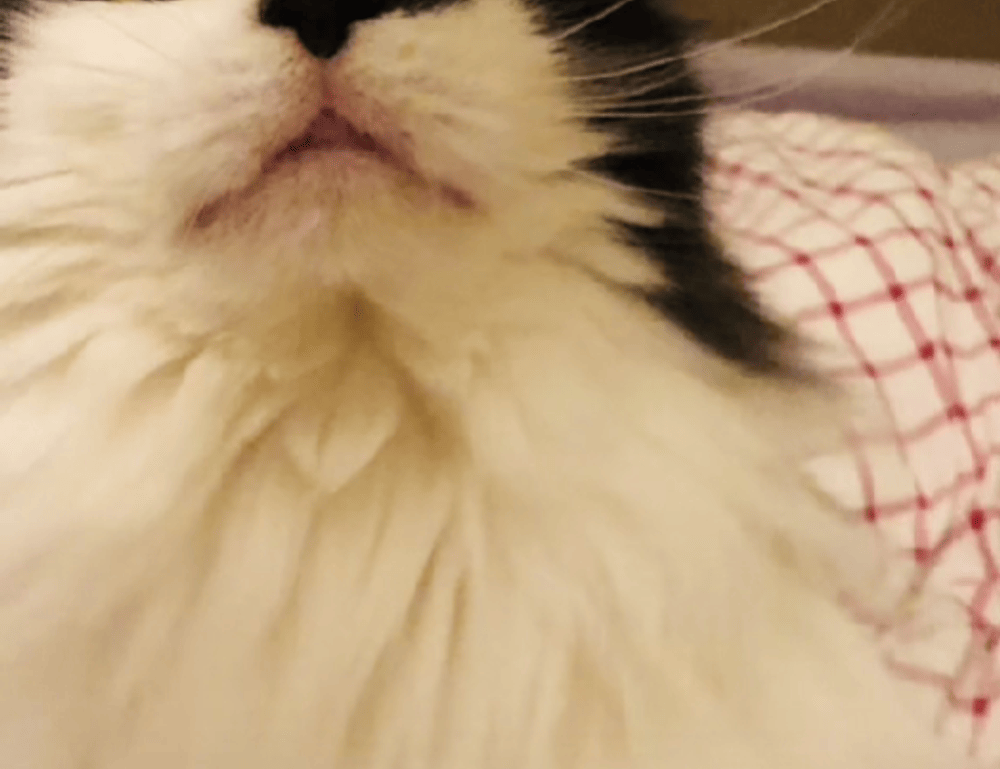 relations tips fpmomhacks