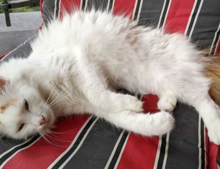 relationship advice fpmomhacks