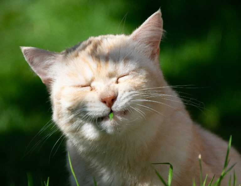 school education nitkaedu