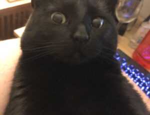 when to start homeschooling nitkaedu