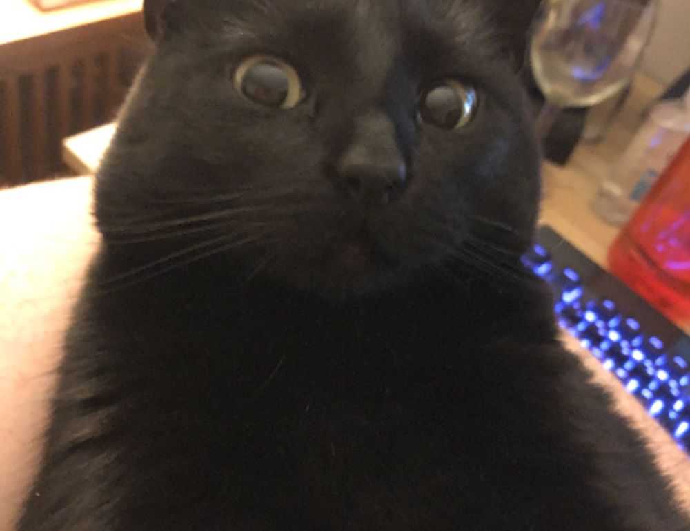 when to start homeschooling nitkaedu