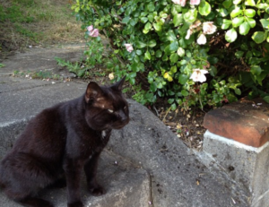 which advice should be given to parents who llblogfamily