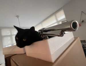 why school education is important nitkaedu