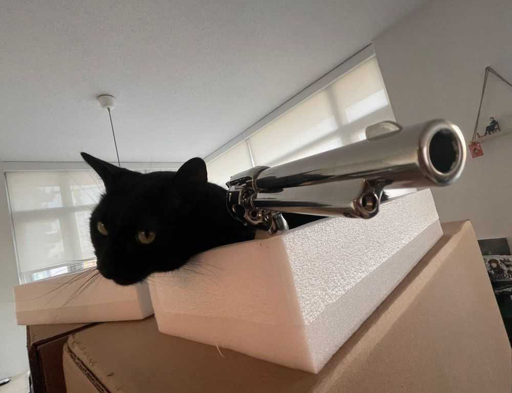 why school education is important nitkaedu