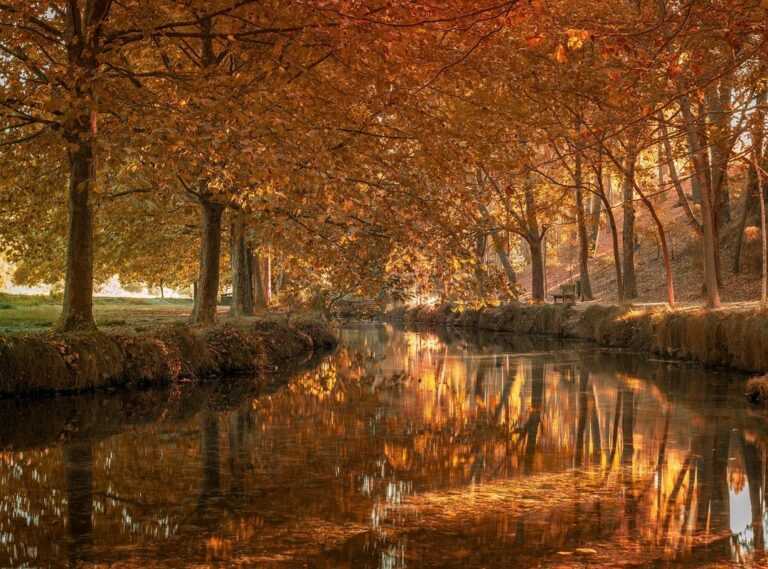 posiciones de inter de milán