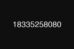 18335258080