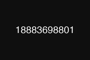 18883698801