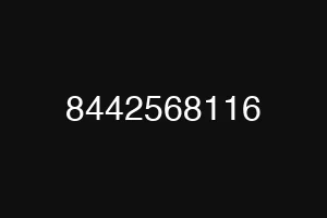 8442568116