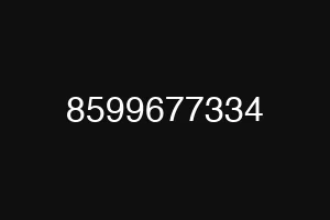 8599677334