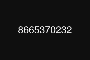 8665370232