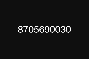 8705690030