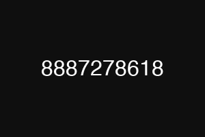 8887278618