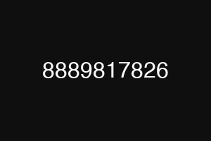 8889817826