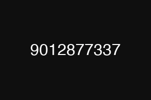 9012877337